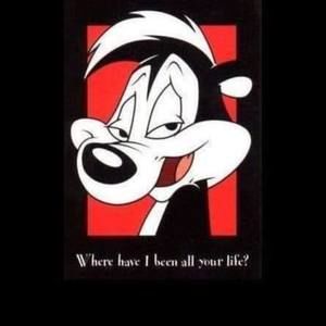 Meet your Posher, Diona